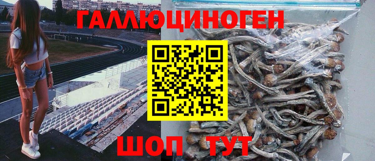 Галлюциногенные грибы GOLDEN TEACHER  Вход с VPN  Галлюциногенные грибы Magic Shrooms  Троицк 